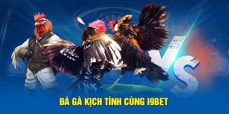 da-ga-kich-tinh-cung-i9bet